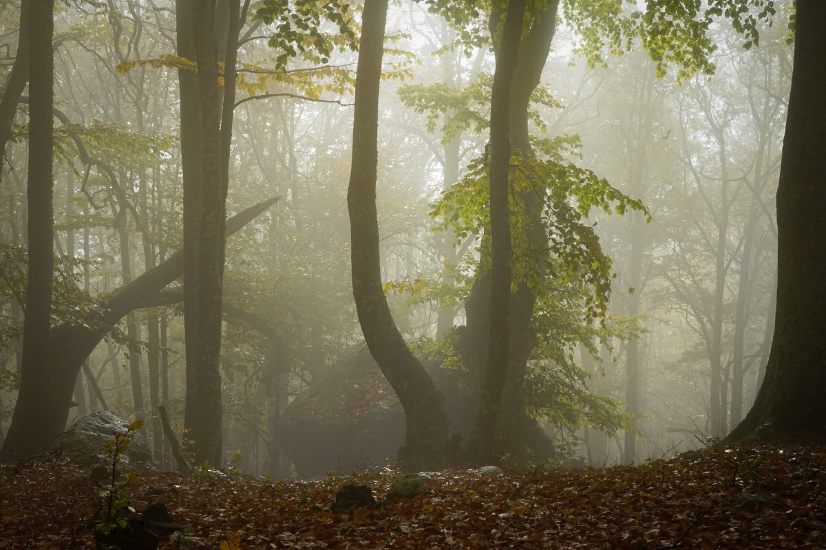 Ακολουθώντας την Περσεφόνη