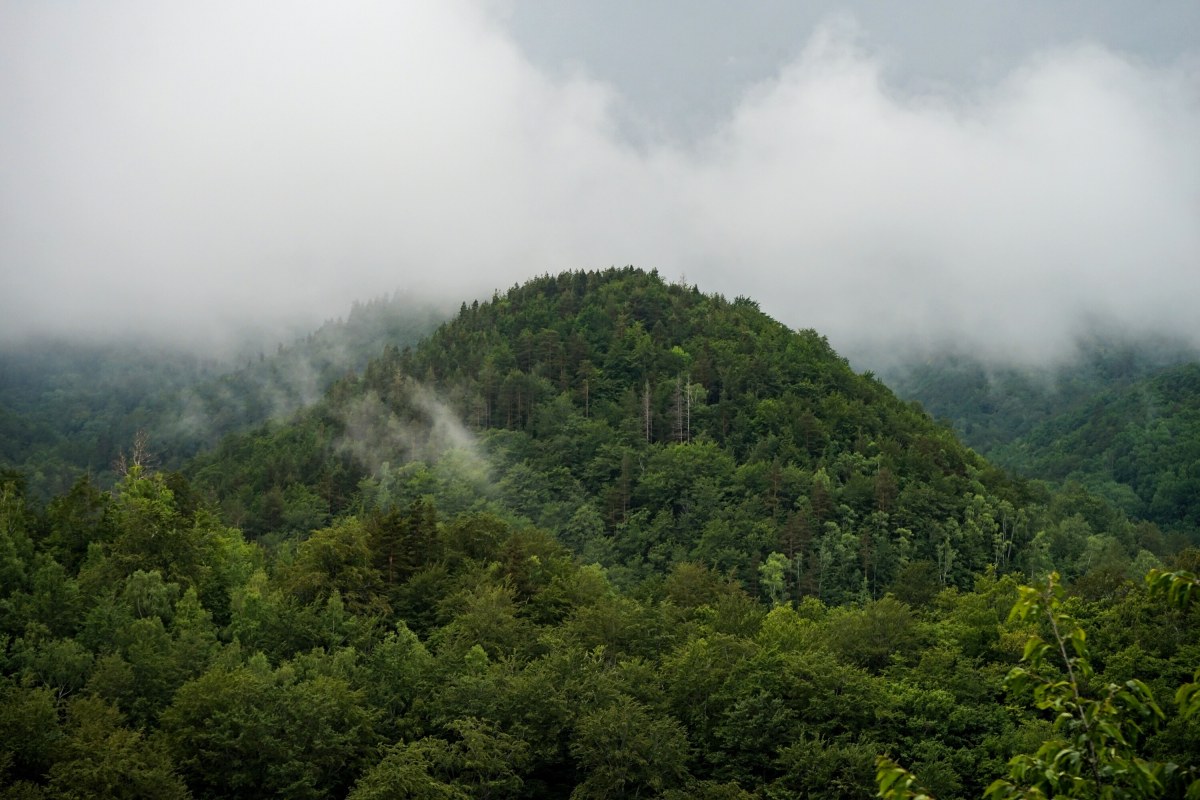 Ροδόπη η μεγάλη&nbsp;περιπέτεια.