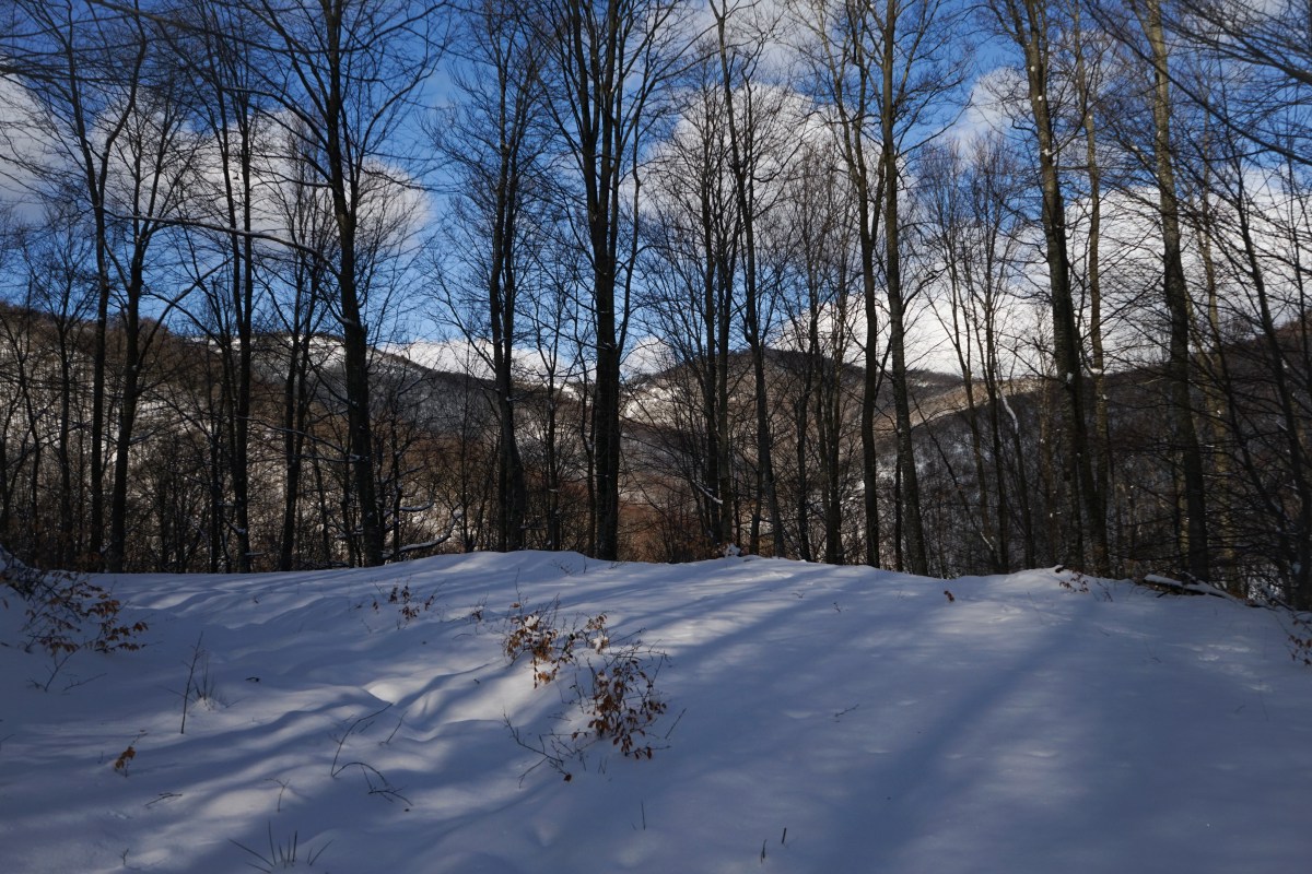 “Ίχνη ελευθερίας” Μικρές&nbsp;εξορμήσεις