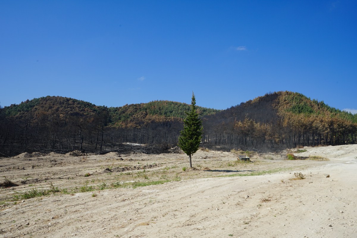 Δαδιά…δεν καίγεται η&nbsp;ελπίδα.