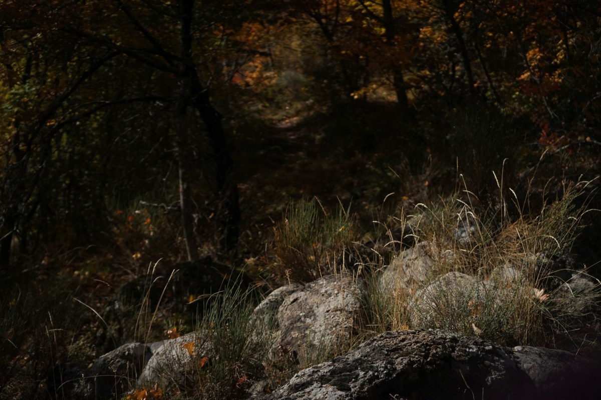 Αναμνήσεις φθινοπώρου.